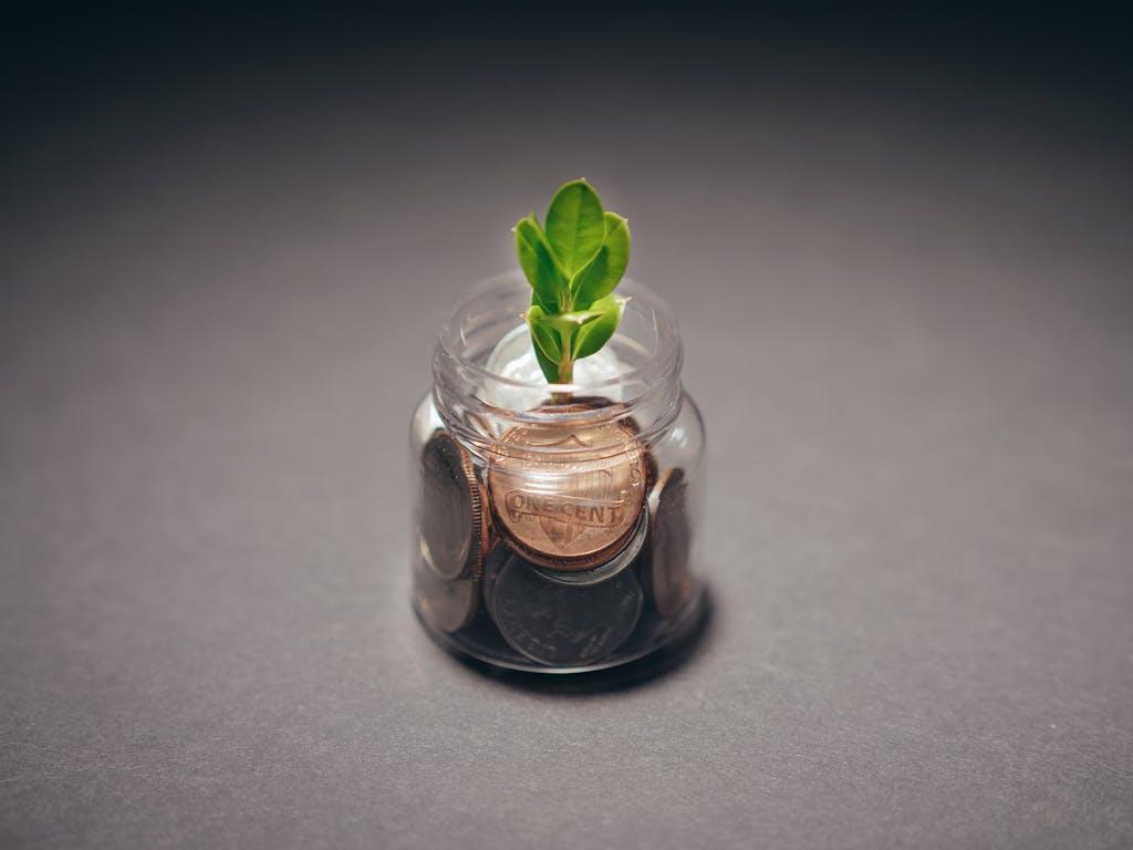Green plant growing from a jar filled with coins, symbolizing financial growth and investment.